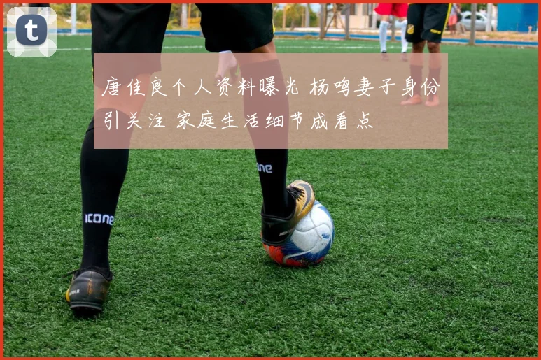 唐佳良个人资料曝光 杨鸣妻子身份引关注 家庭生活细节成看点