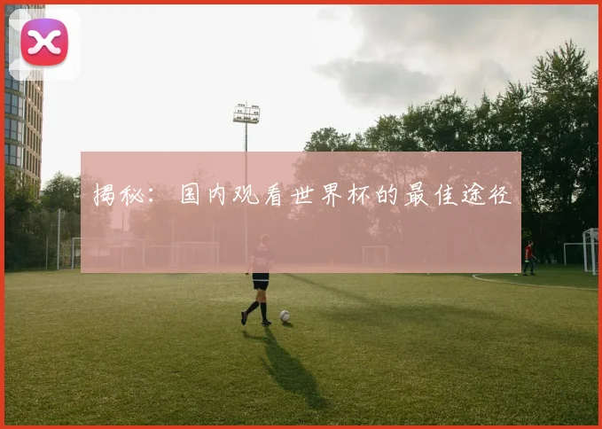 揭秘：国内观看世界杯的最佳途径