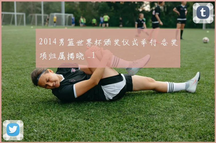 2014男篮世界杯颁奖仪式举行 各奖项归属揭晓 _1